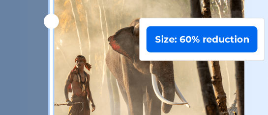 Website Acceleration Suite