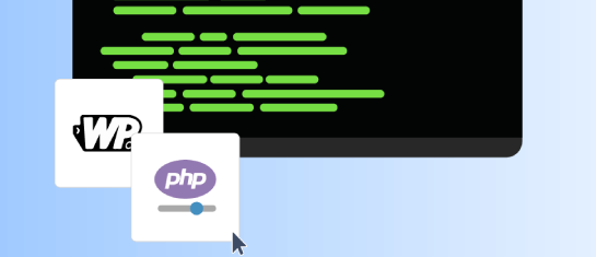 WordPress Dev Tools