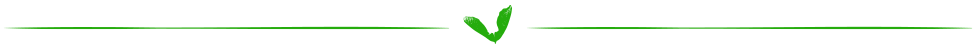 Green Hosting