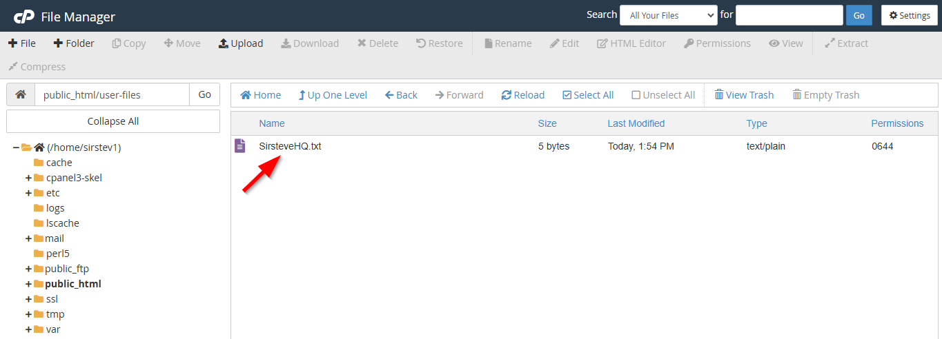 File Manager - Uploaded File