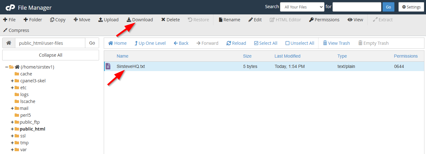 File Manager - Downloading File