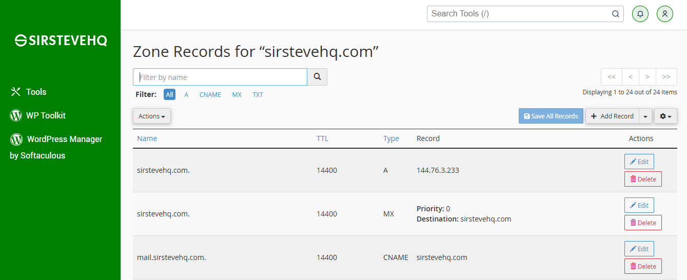 dns-records-table-section