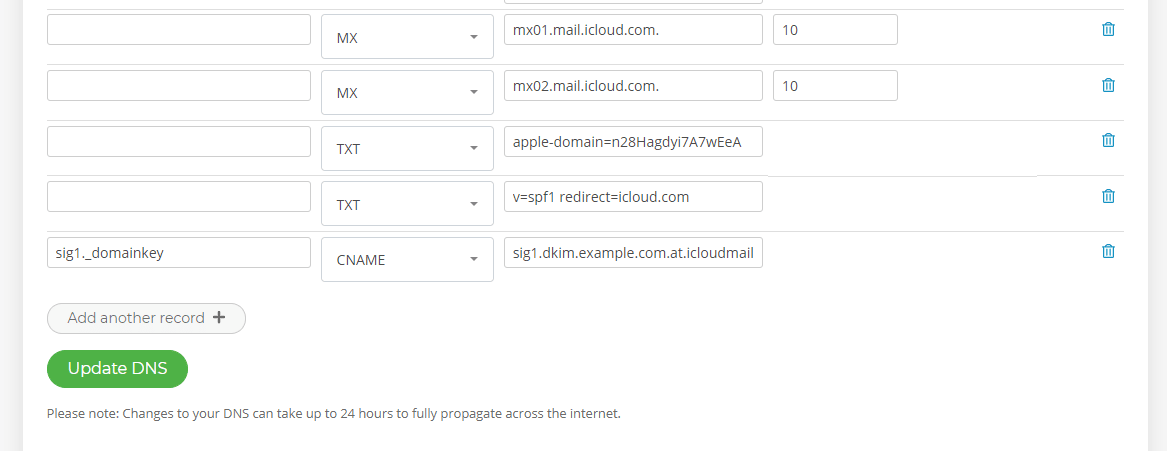 Apple_DNS_Records_(1).png