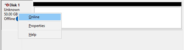 Disk 1 online