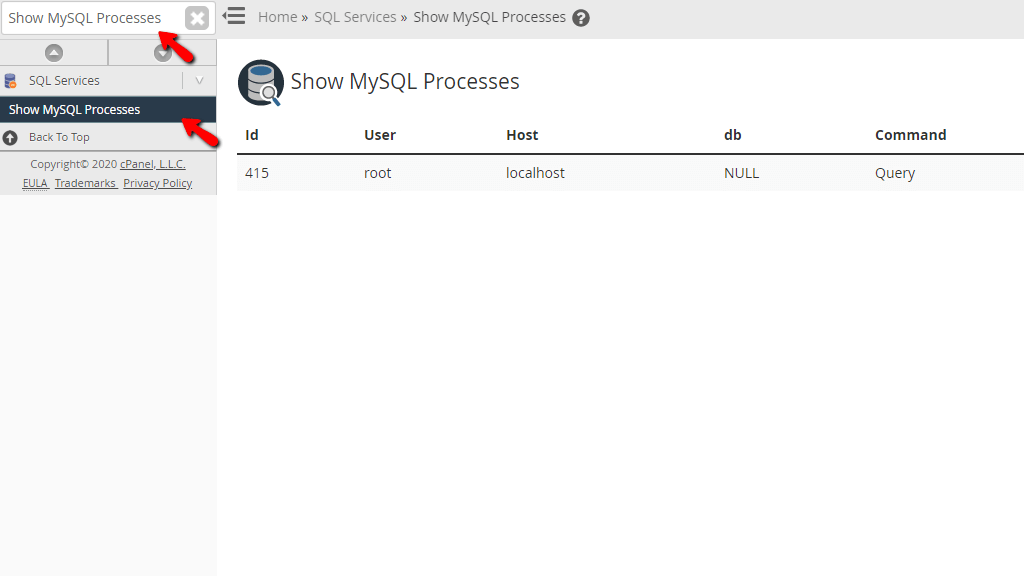 accessing-the-functionalityprocessesfeature.png