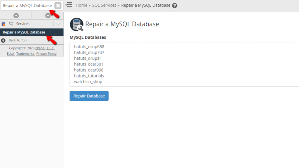 accessing-the-repairfeature-in-whm.png