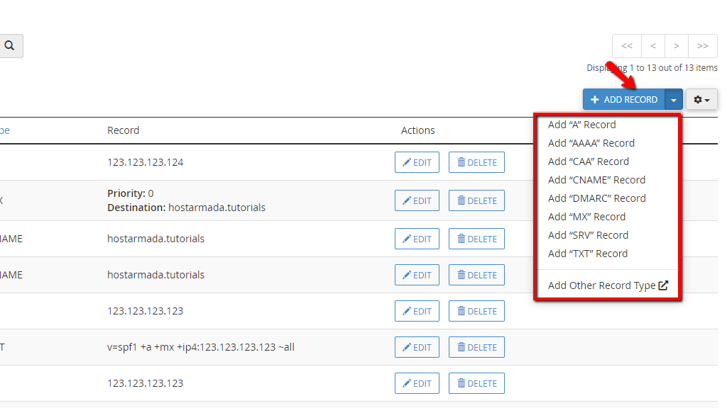 add-dns-records-functionality.png
