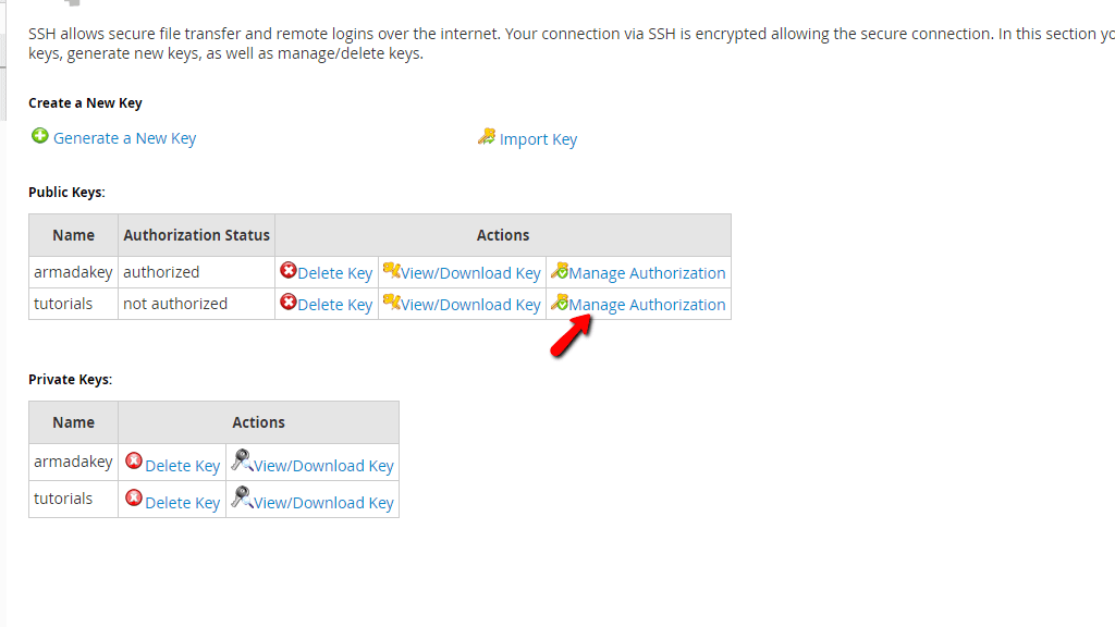 authorize-public-key.png