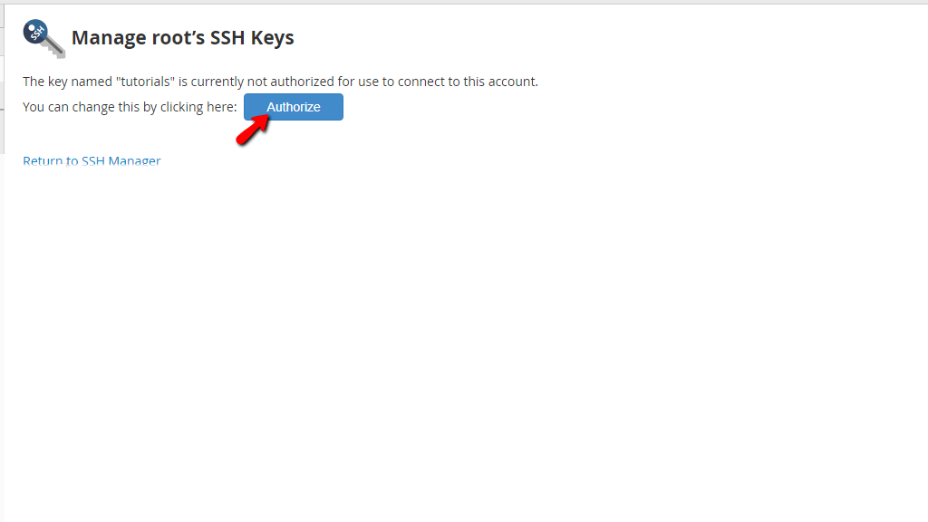 authorize-the-key-and-return.png