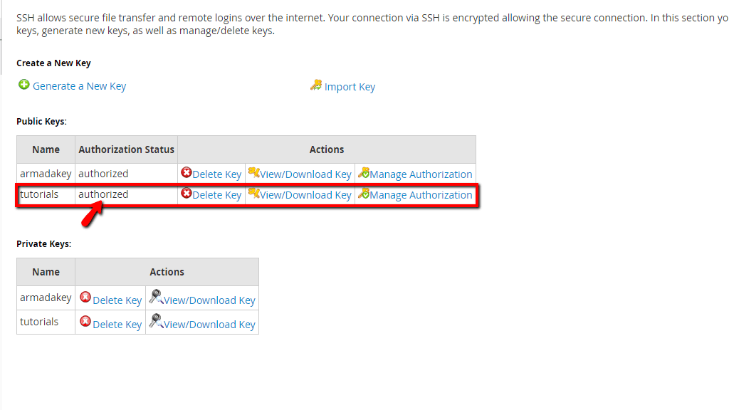 authorized-public-key.png