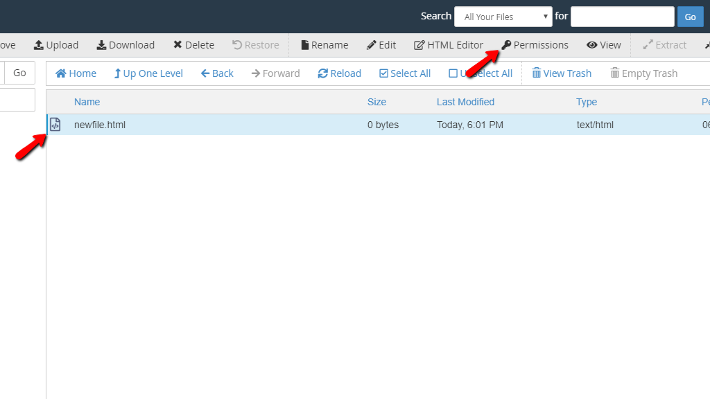 File Manager - Permissions Button