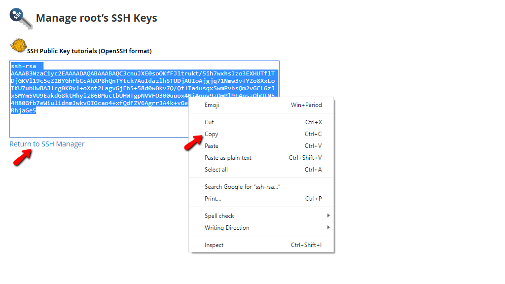 copy-paste-key-locally.png
