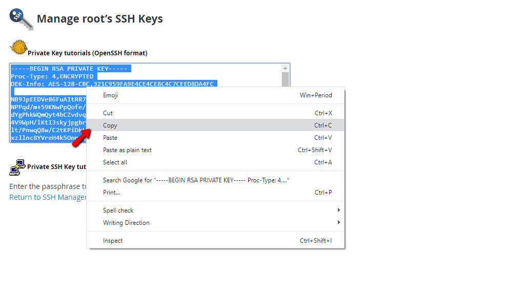 copy-paste-private-key-locally.png