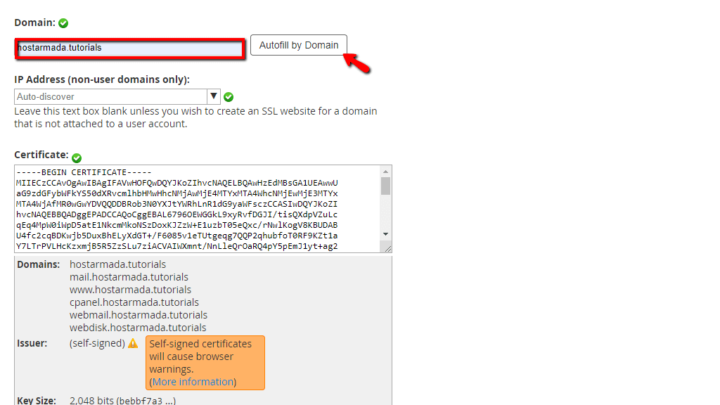domain-field-autofill-domain-button.png