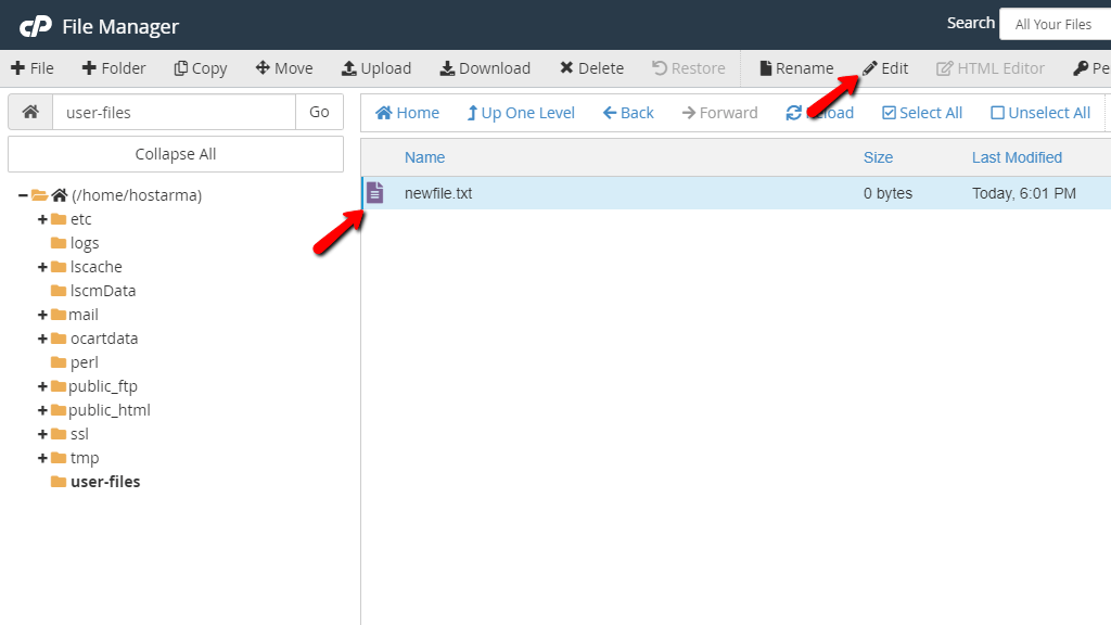File Manager - Edit File Button