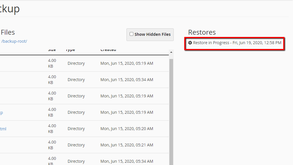 File Restoration process in progress in the JetBackup feature