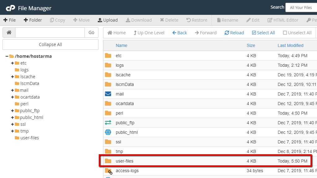 File Manager - Folder Created