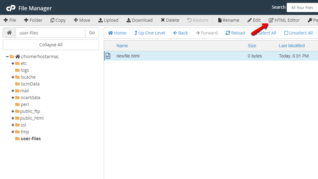File Manager - HTML Editor