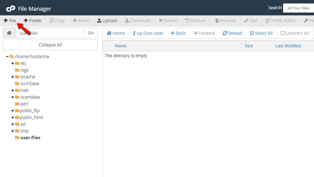 File Manager - New File