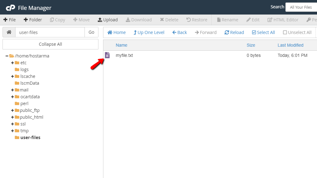 File Manager - New File Created