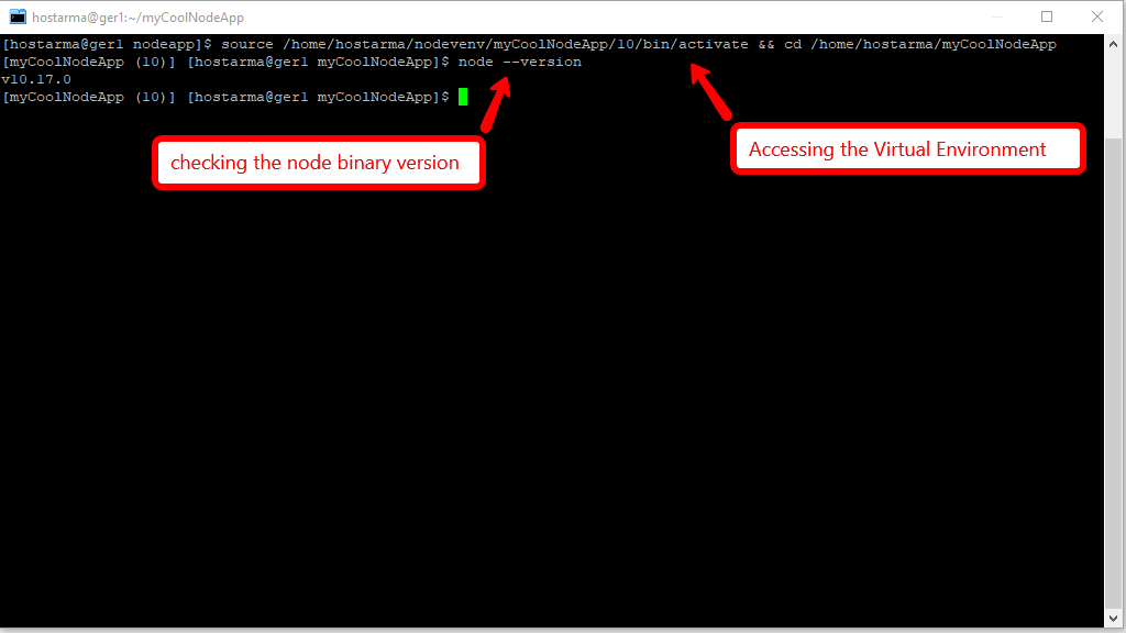 Node.js virtual environment