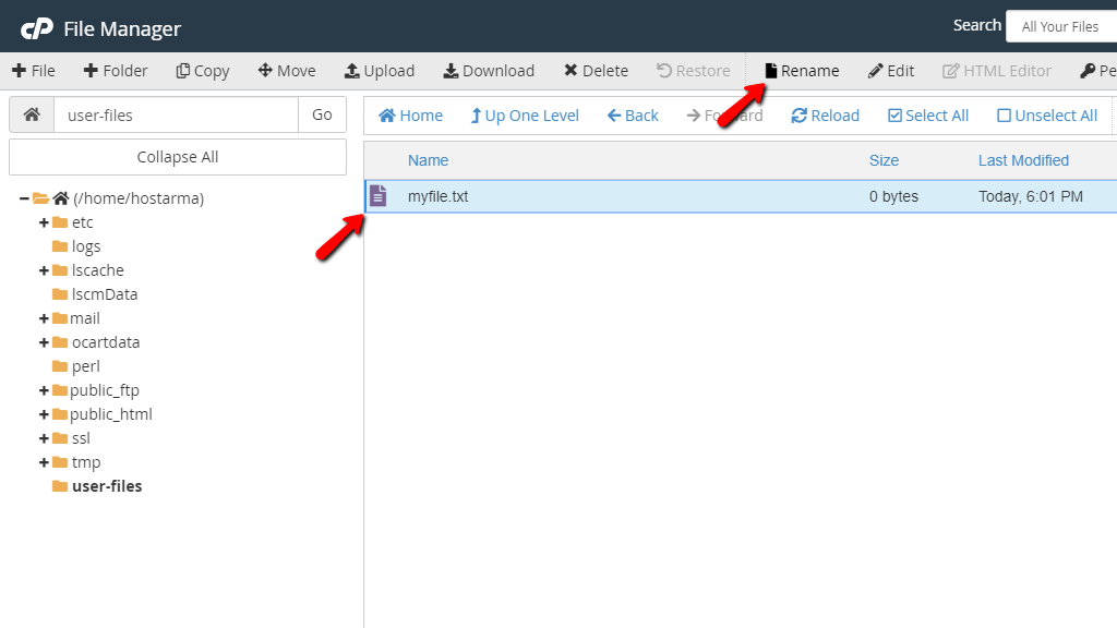 File Manager - Renaming file button