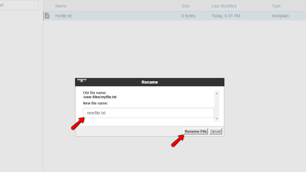 File Manager - Rename File
