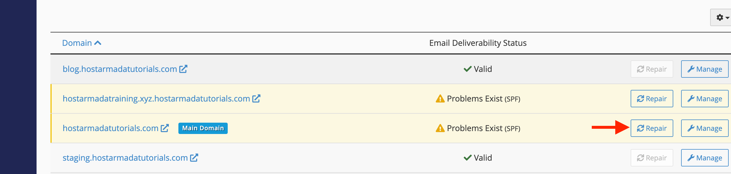 repair-dns-records