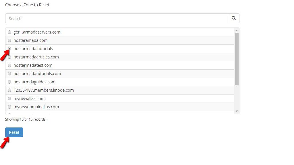 reset-the-dns-zone.png