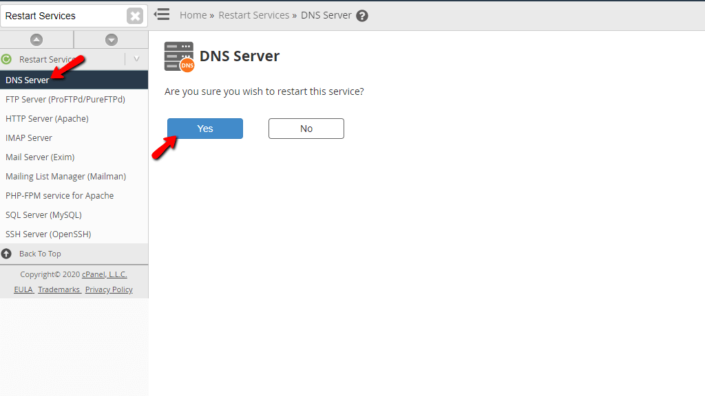restart-the-dns-server.png