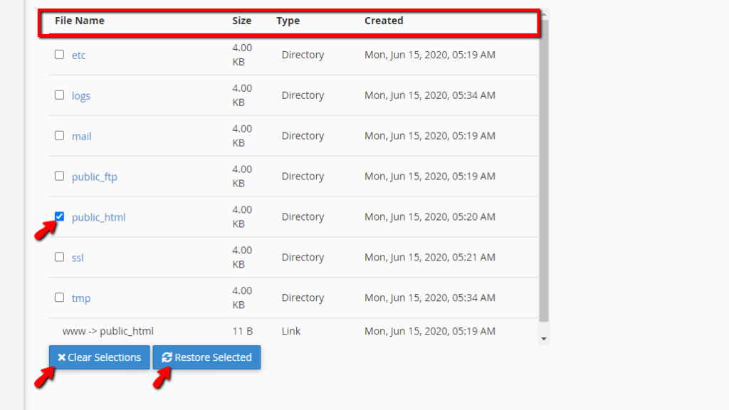Restore Selected Files in the JetBackup feature