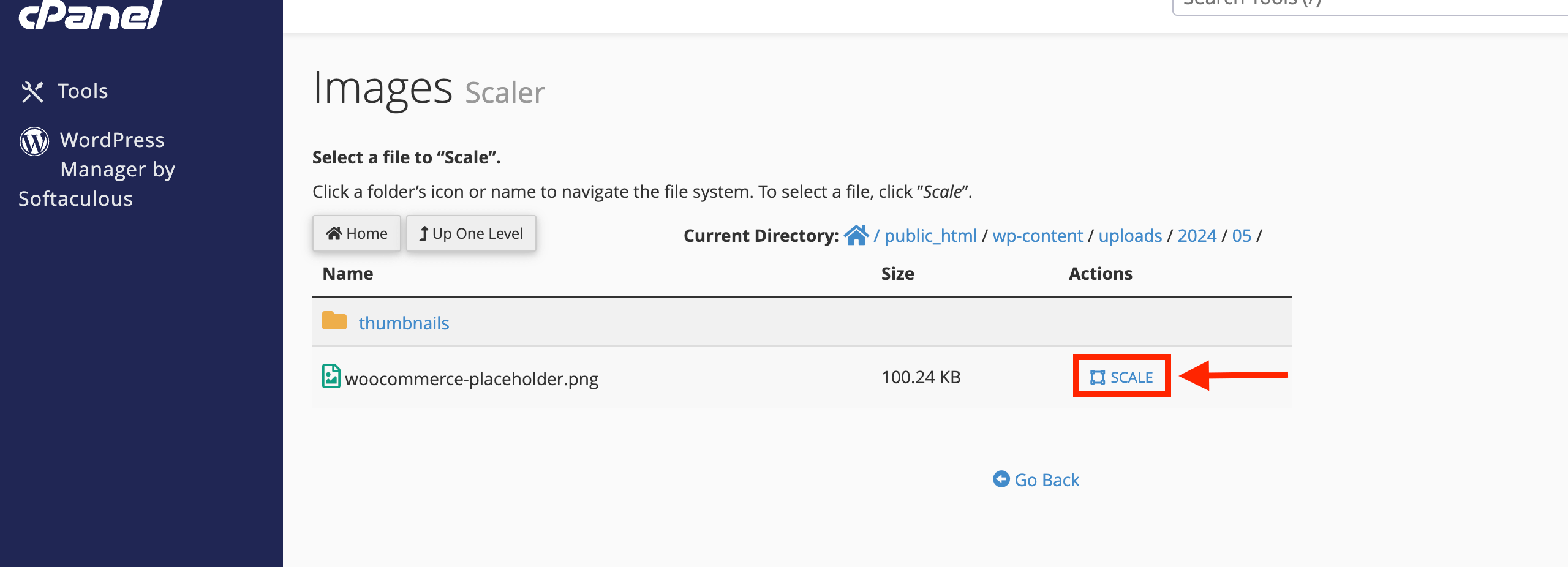 scale-action-button