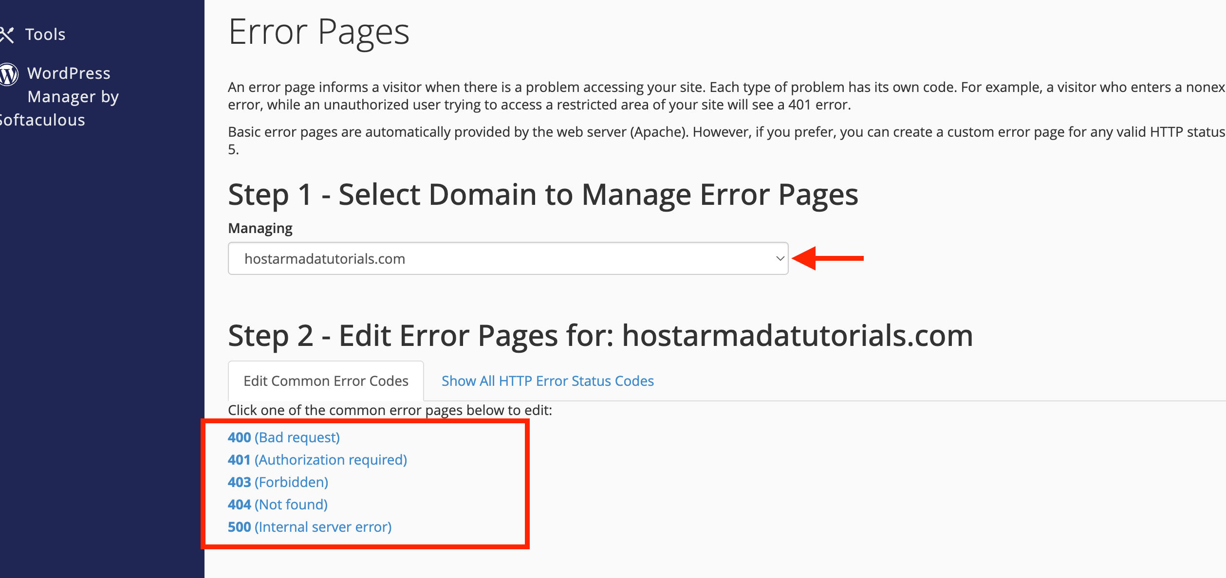 select-domain-and-error-pagae