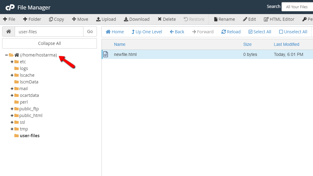 File Manager - Selecting the home directory