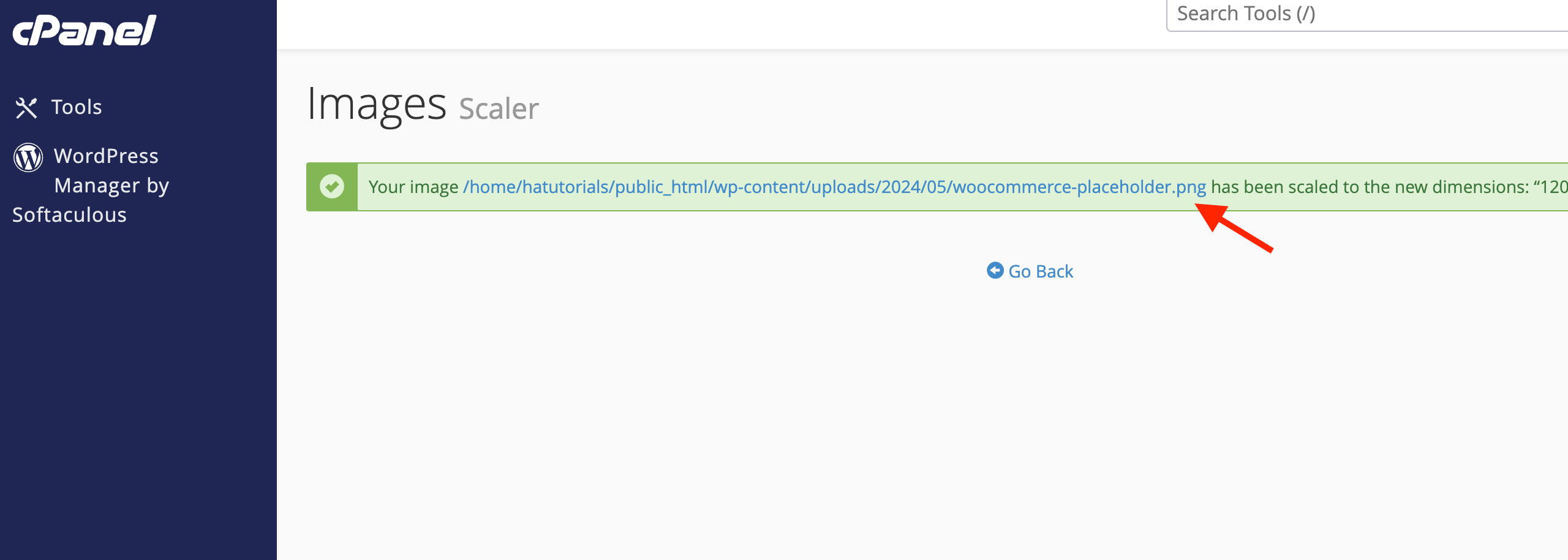 successfully-scaled-image