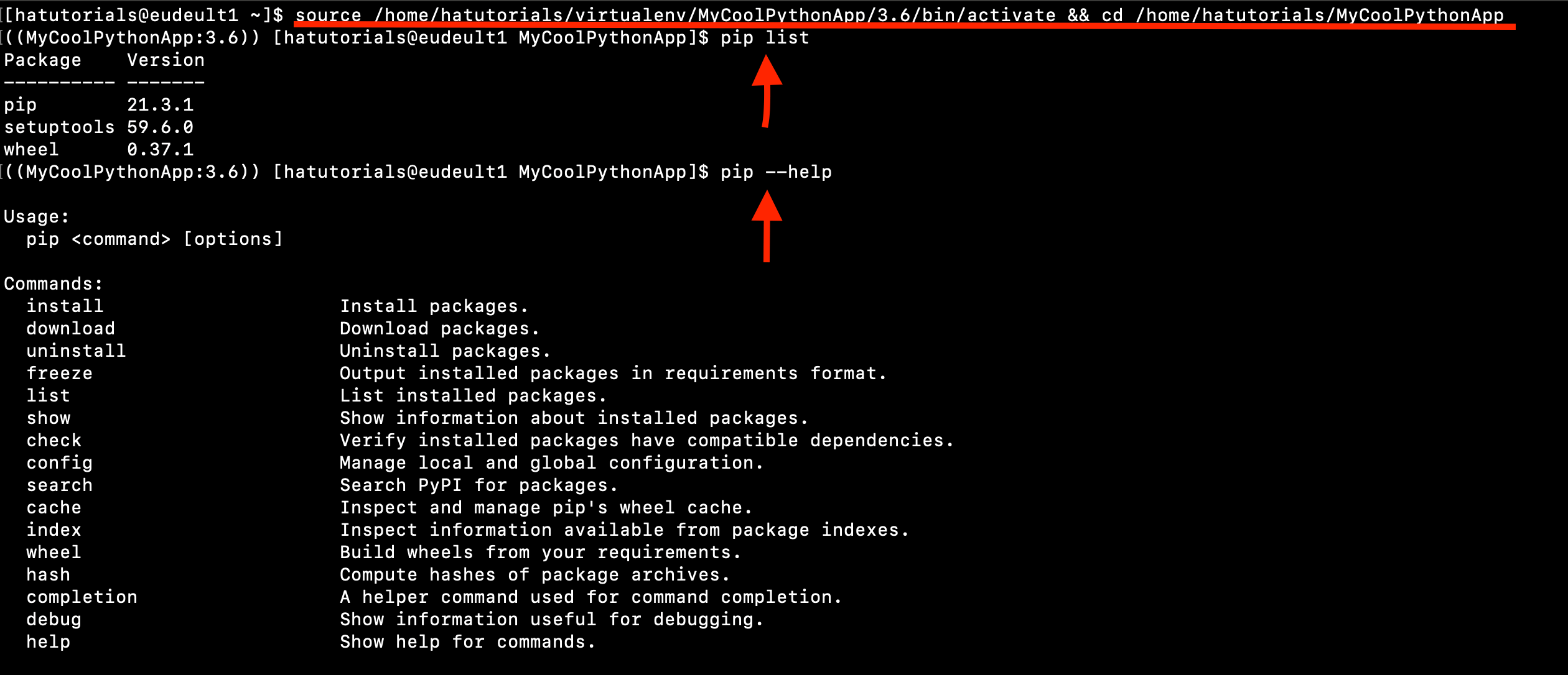 terminal-output
