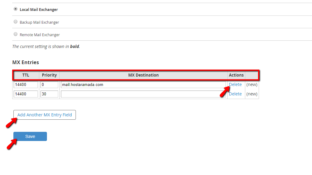type-in-your-mx-records-and-settings.png