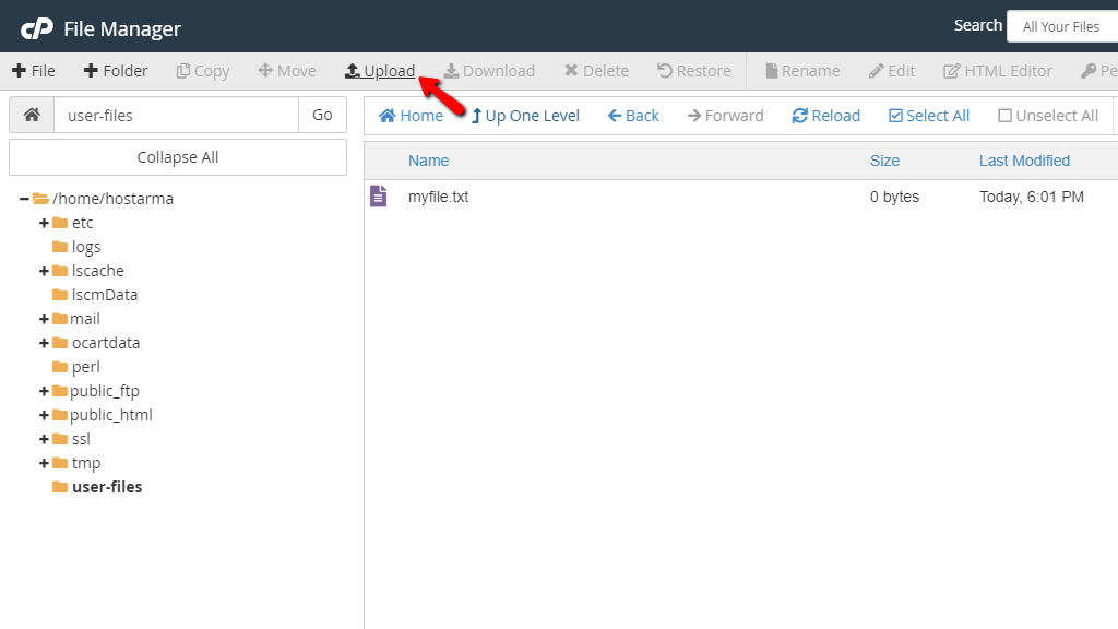 File Manager - Uploading a File