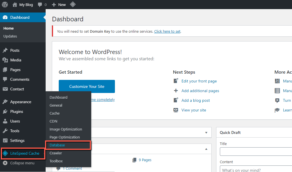 Access WordPress LiteSpeed Cache Database Settings