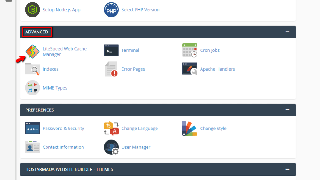 Access LiteSpeed Web Cache Manager