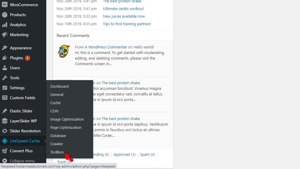 Access WordPress LiteSpeed Cache plugin Toolbox