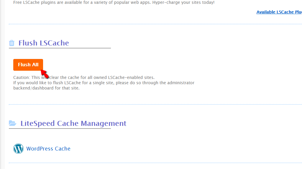 LSCache feature - Flush All Cache