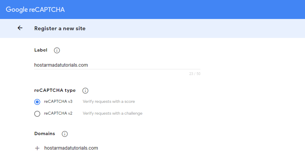 Google reCAPTCHA Title, Verification Type, and Domains