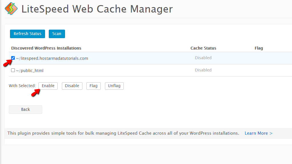 Install WordPress LiteSpeed Cache Plugin for selected site