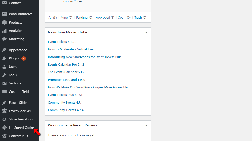 LiteSpeed Cache plugin in WordPress Admin Dashboard