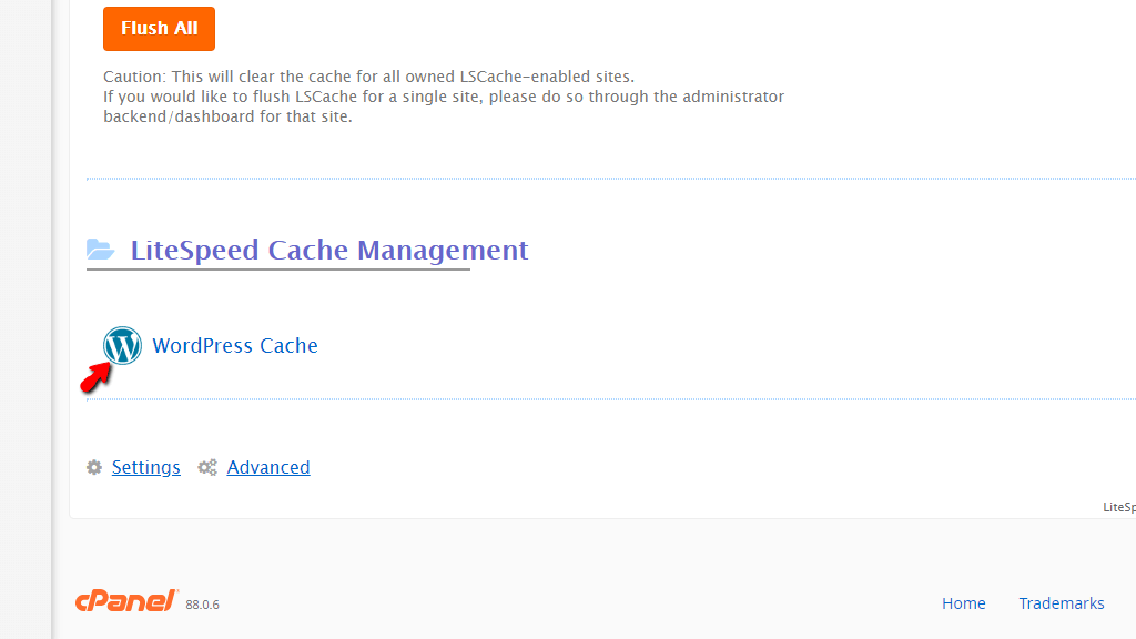 LSCache feature WordPress Cache