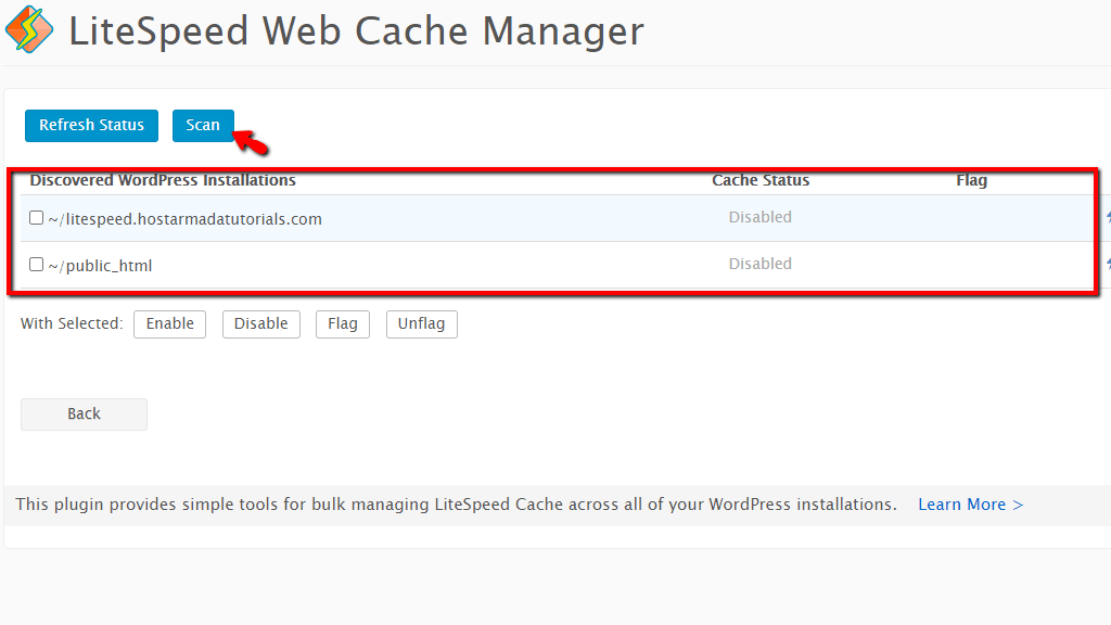 Scan LSCache for WordPress Installation