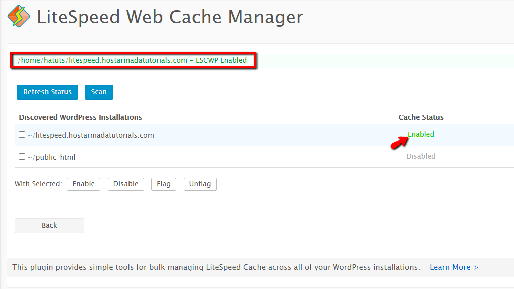 WordPress LiteSpeed Cache Plugin Successfully Installed