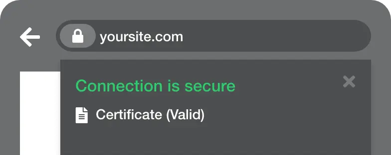 Domain Validation (DV)